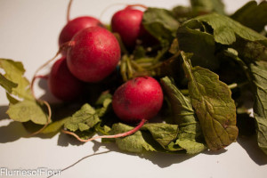 bunch of radishes 
