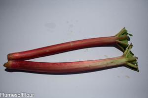 rhubarb stalks 
