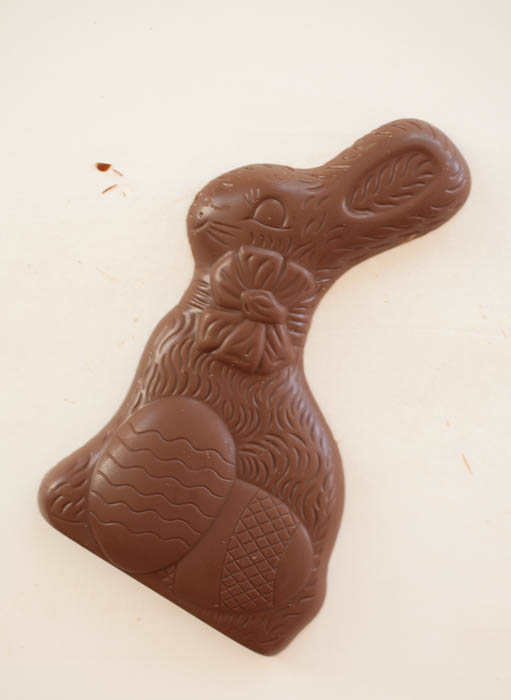 chocolate bunny on white background