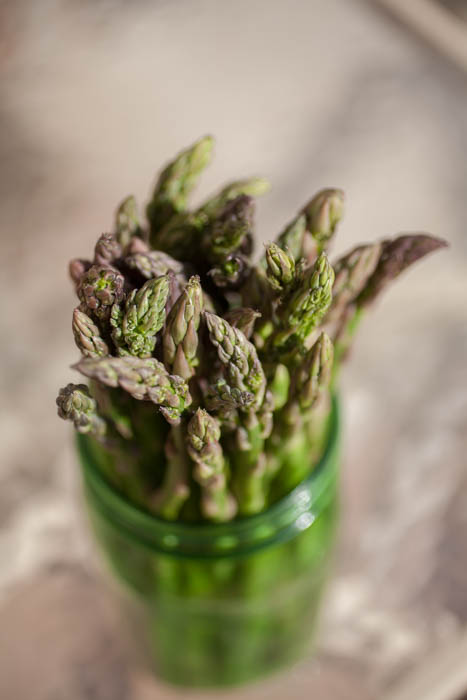picture of asparagus 