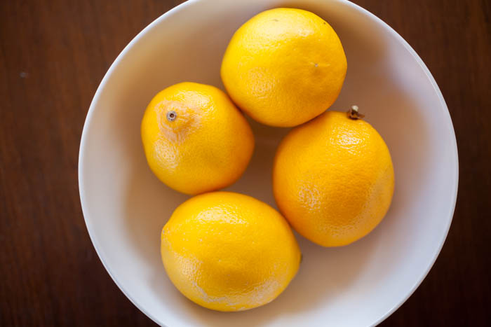 Meyer lemon citrus 