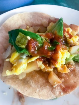 corn tortilla with scrambled eggs, potatoes, avocado, and salsa for breakfast tacos from Flurries of Flour